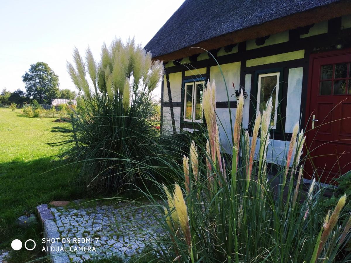 Podroze Checz Villa Charbrowo ภายนอก รูปภาพ