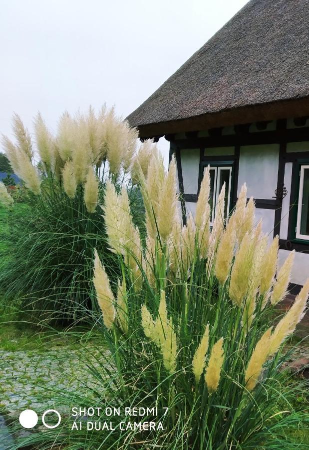 Podroze Checz Villa Charbrowo ภายนอก รูปภาพ