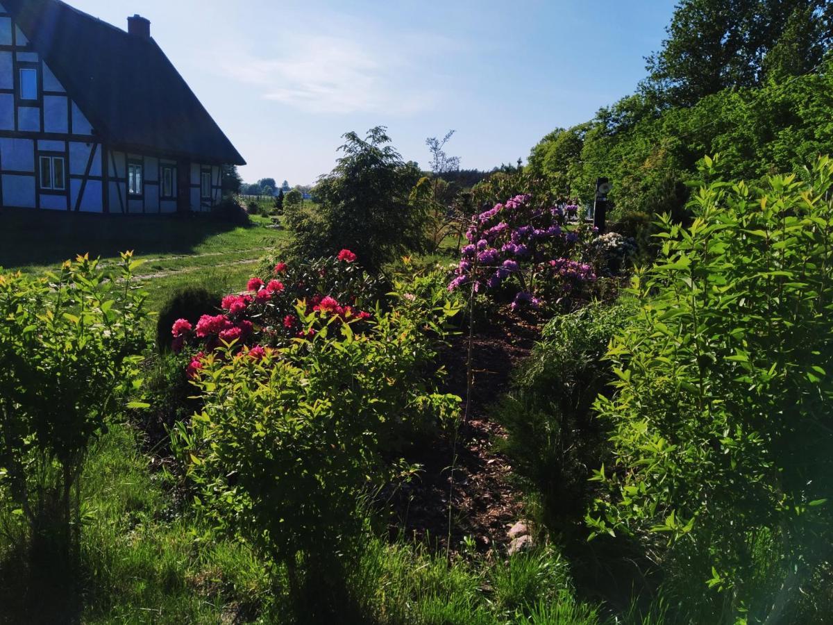 Podroze Checz Villa Charbrowo ภายนอก รูปภาพ