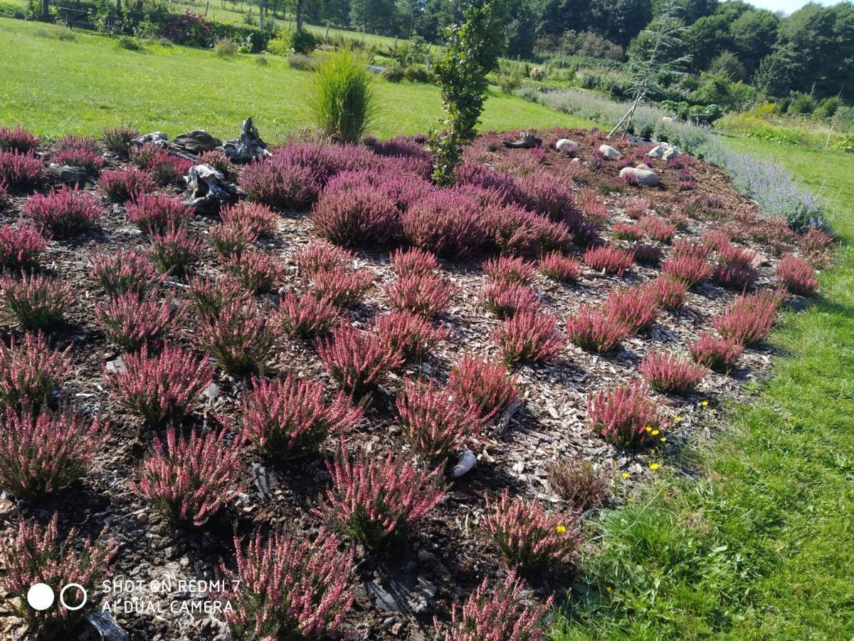 Podroze Checz Villa Charbrowo ภายนอก รูปภาพ