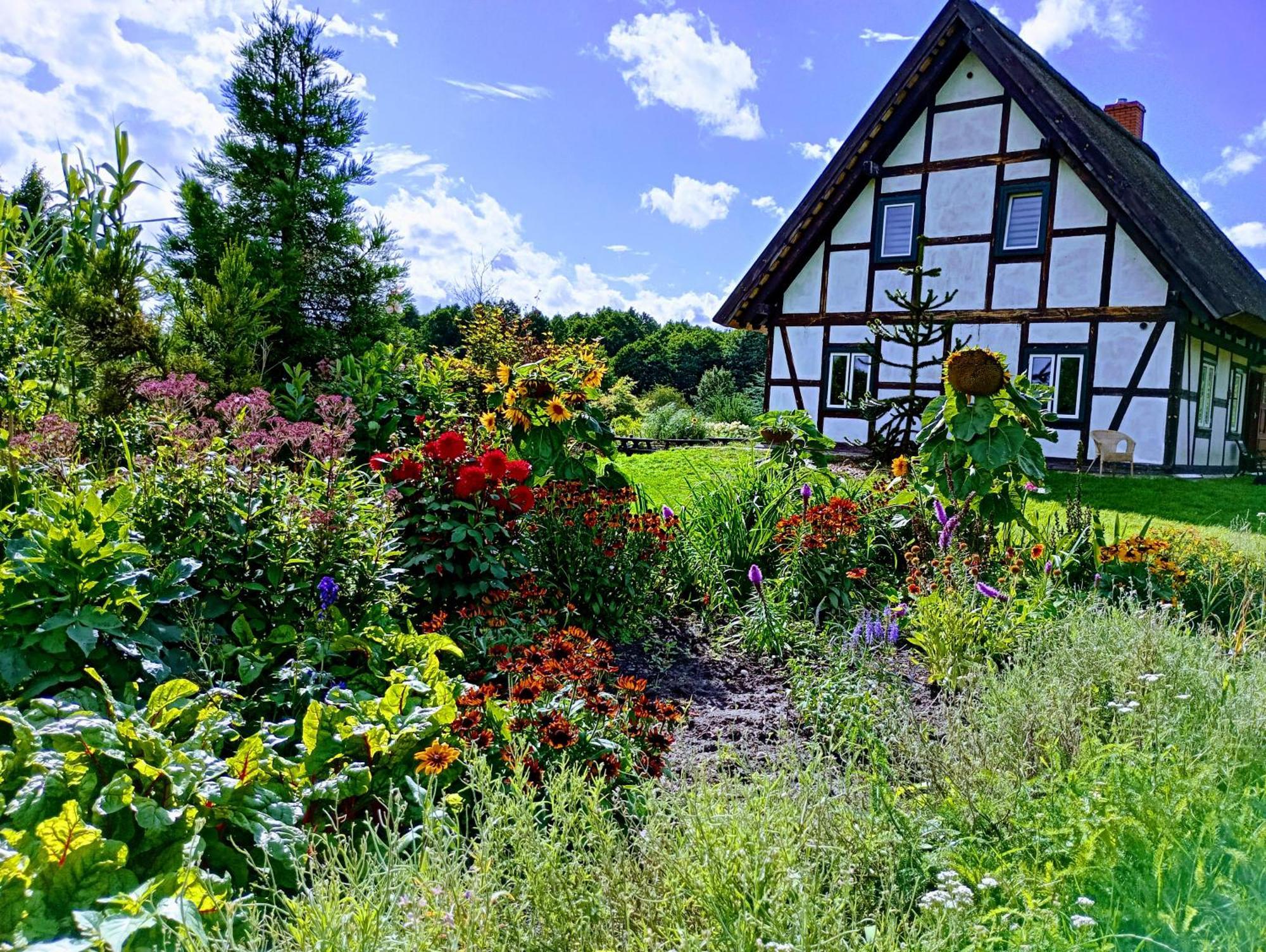 Podroze Checz Villa Charbrowo ภายนอก รูปภาพ